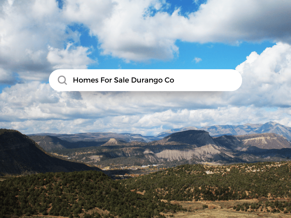 Homes for Sale Durango Colorado