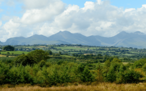 Explore the beauty of Mancos, CO. With Blackmore realty group on your side buying and selling in Mancos, CO is just a walk in the park.