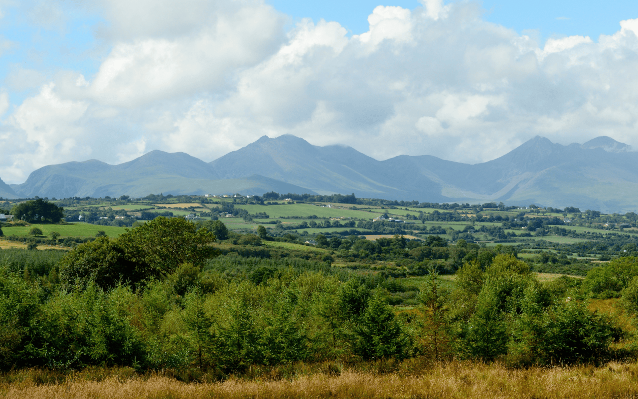 Explore the beauty of Mancos, CO. With Blackmore realty group on your side buying and selling in Mancos, CO is just a walk in the park.