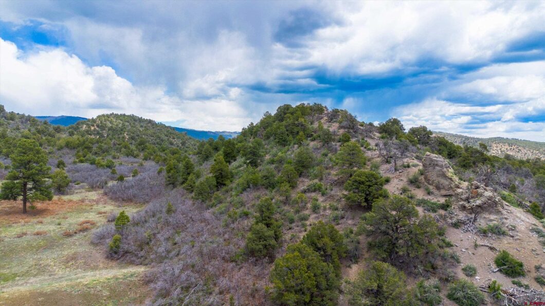 Durango Colorado Real Estate