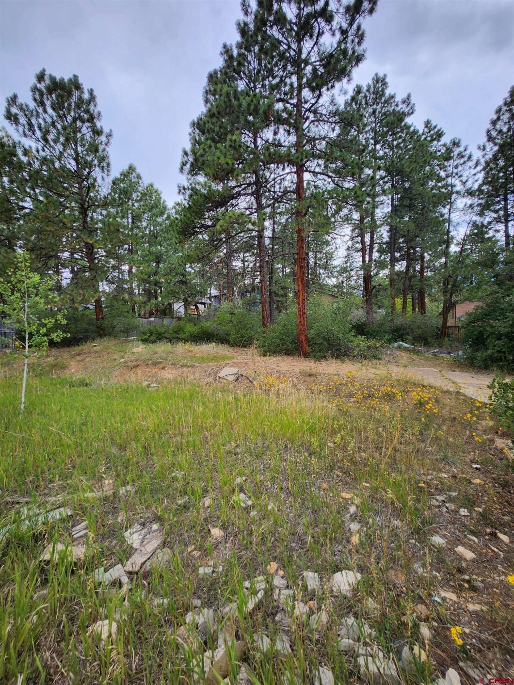 Durango Colorado Real Estate