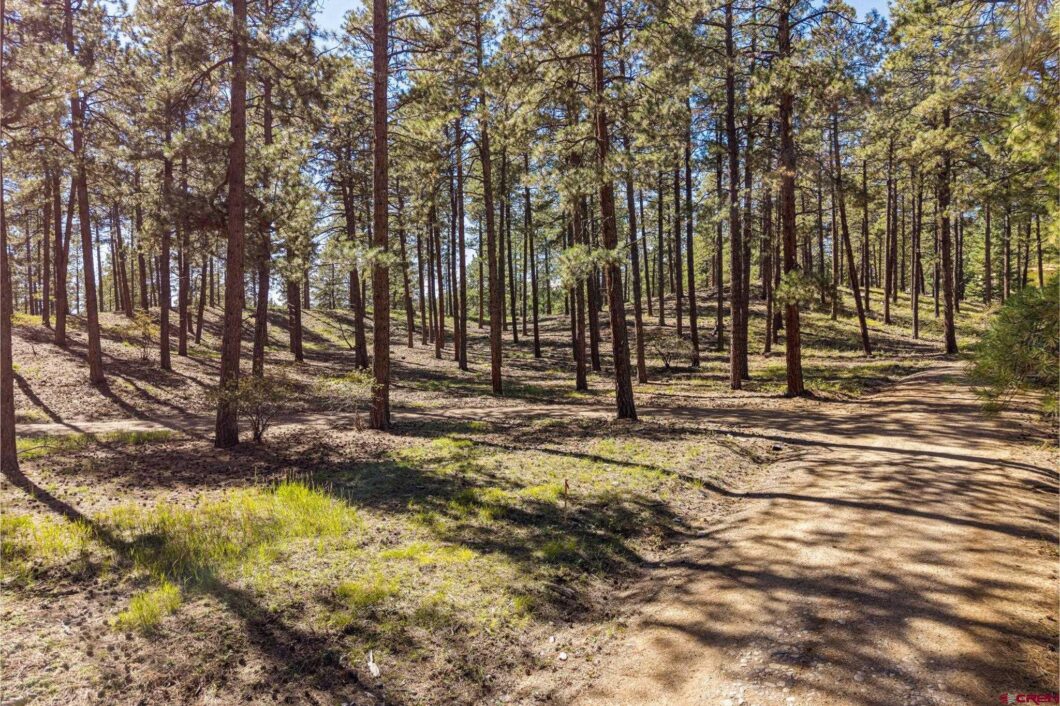 Durango Colorado Real Estate